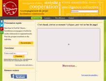 Tablet Screenshot of ecotidienne.fr